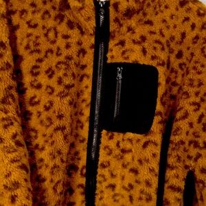 Cheetah Print Teddy